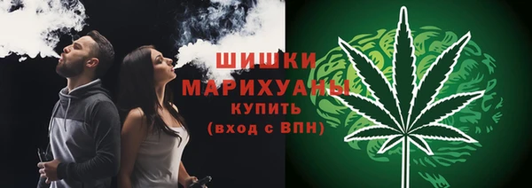 прущие грибы Алексин