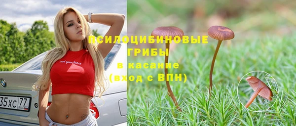 прущие грибы Алексин
