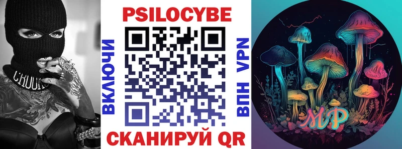 Псилоцибиновые грибы Psilocybine cubensis  Макушино 